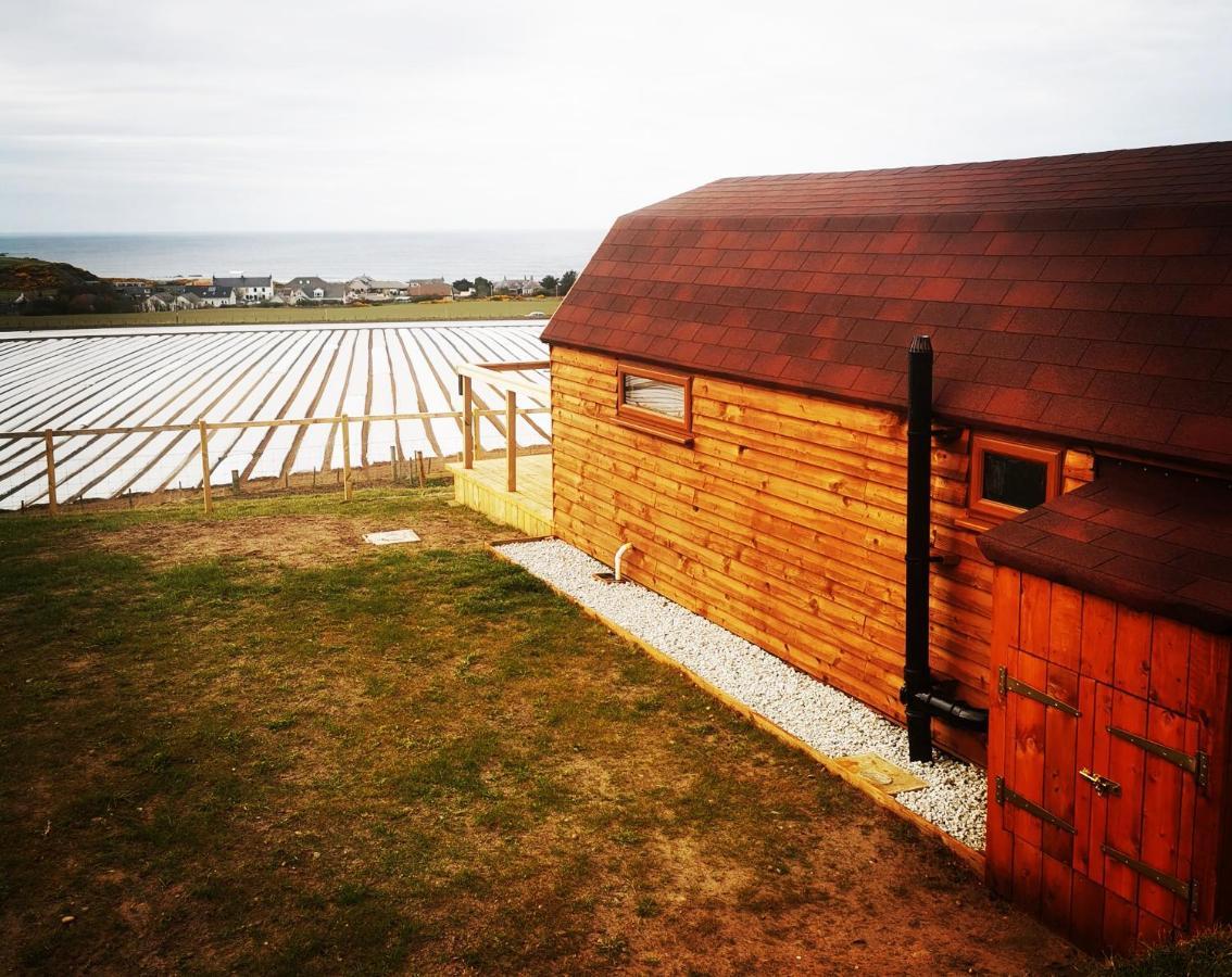 Gowanview Glamping 호텔 밴프 외부 사진