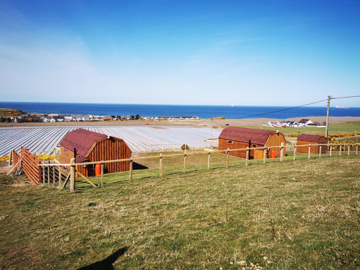 Gowanview Glamping 호텔 밴프 외부 사진